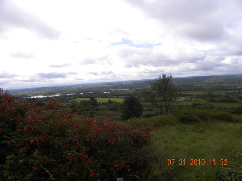 Wild Fuchsias on Kilronan Mountain